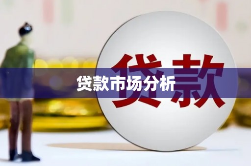 赞皇贷款市场分析