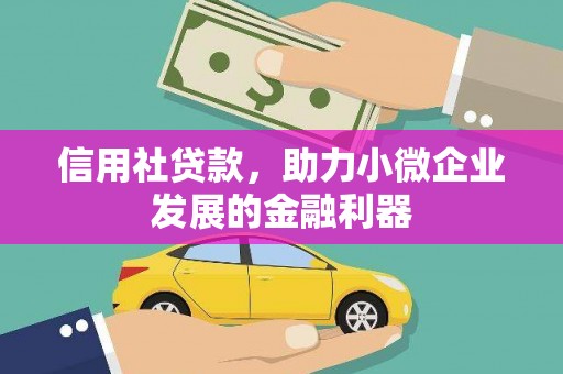 赞皇信用社贷款，助力小微企业发展的金融利器