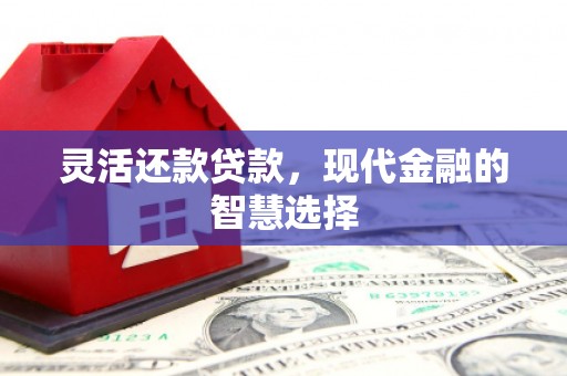 赞皇灵活还款贷款，现代金融的智慧选择