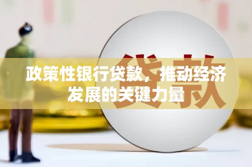 赞皇政策性银行贷款，推动经济发展的关键力量