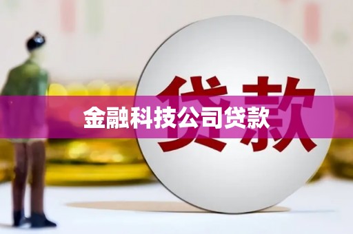 赞皇金融科技公司贷款