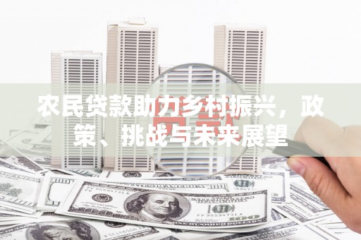 赞皇农民贷款助力乡村振兴，政策、挑战与未来展望