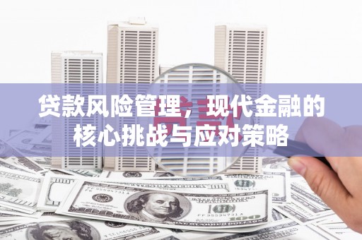 赞皇贷款风险管理，现代金融的核心挑战与应对策略