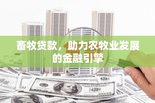 赞皇畜牧贷款，助力农牧业发展的金融引擎