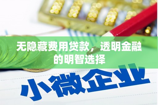赞皇无隐藏费用贷款，透明金融的明智选择