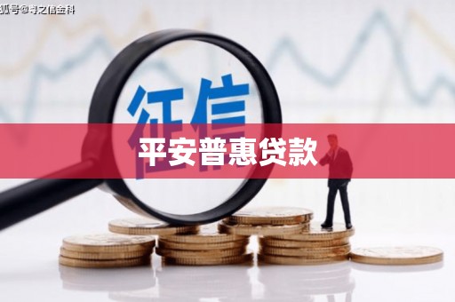 赞皇平安普惠贷款