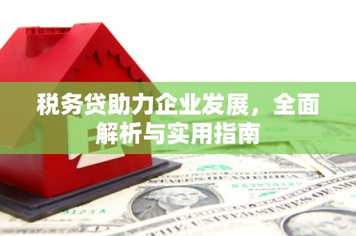 赞皇税务贷助力企业发展，全面解析与实用指南