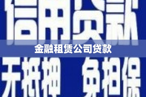 赞皇金融租赁公司贷款