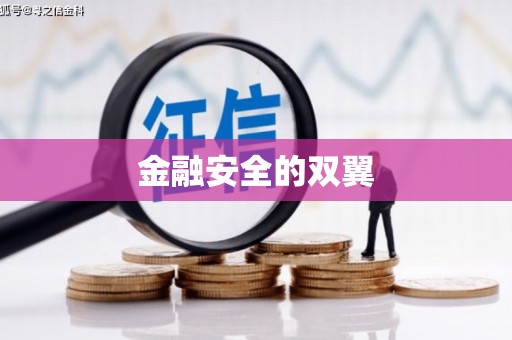 赞皇金融安全的双翼