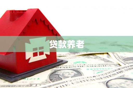 赞皇贷款养老