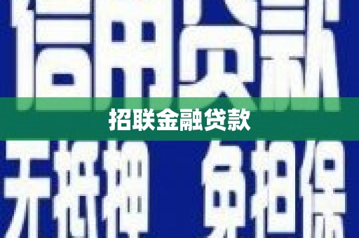 赞皇招联金融贷款