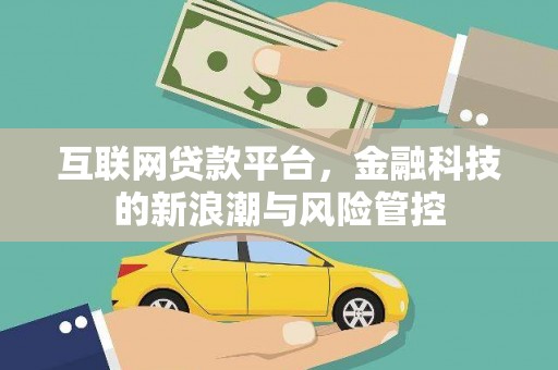 赞皇互联网贷款平台，金融科技的新浪潮与风险管控