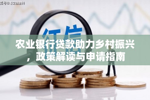 赞皇农业银行贷款助力乡村振兴，政策解读与申请指南