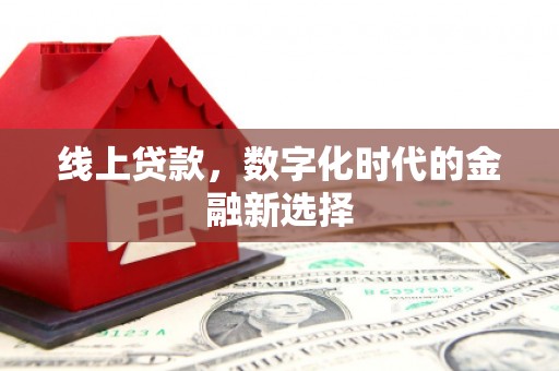 赞皇线上贷款，数字化时代的金融新选择