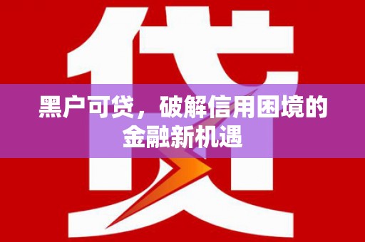 赞皇黑户可贷，破解信用困境的金融新机遇