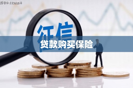 赞皇贷款购买保险