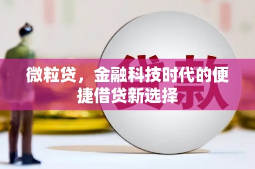 赞皇微粒贷，金融科技时代的便捷借贷新选择