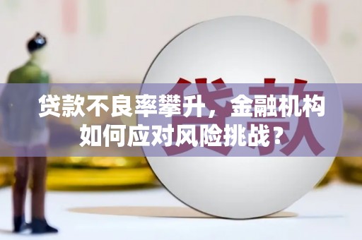赞皇贷款不良率攀升，金融机构如何应对风险挑战？