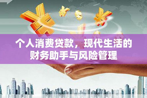 赞皇个人消费贷款，现代生活的财务助手与风险管理