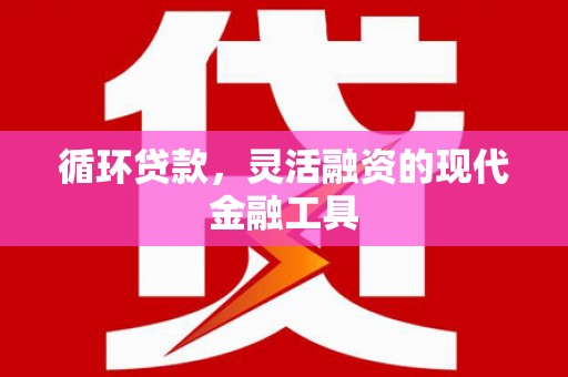 赞皇循环贷款，灵活融资的现代金融工具