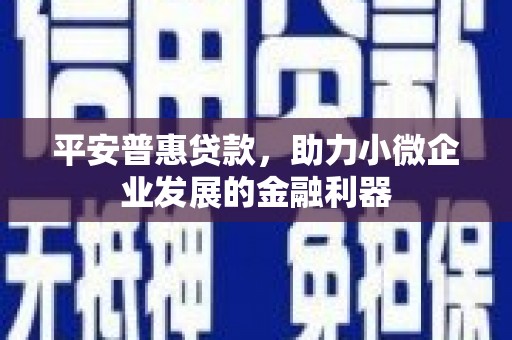 赞皇平安普惠贷款，助力小微企业发展的金融利器