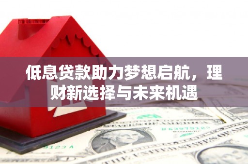 赞皇低息贷款助力梦想启航，理财新选择与未来机遇