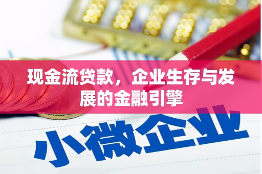 赞皇现金流贷款，企业生存与发展的金融引擎