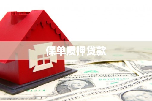 赞皇保单质押贷款