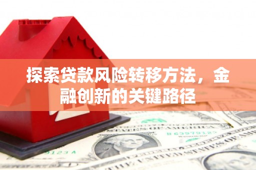 赞皇探索贷款风险转移方法，金融创新的关键路径