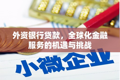 赞皇外资银行贷款，全球化金融服务的机遇与挑战