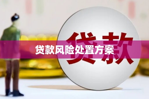 赞皇贷款风险处置方案