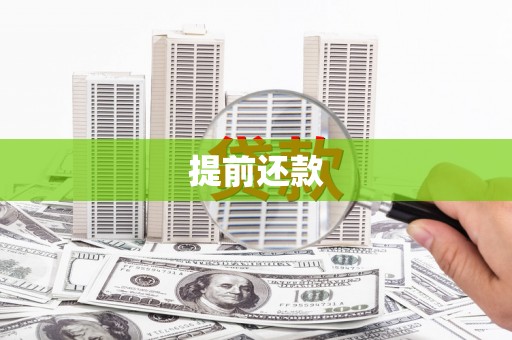 赞皇提前还款