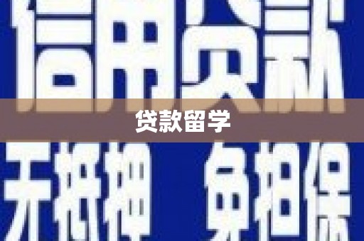 赞皇贷款留学