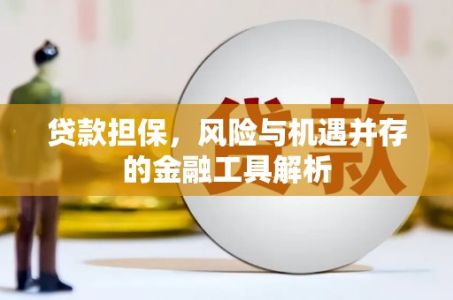 赞皇贷款担保，风险与机遇并存的金融工具解析