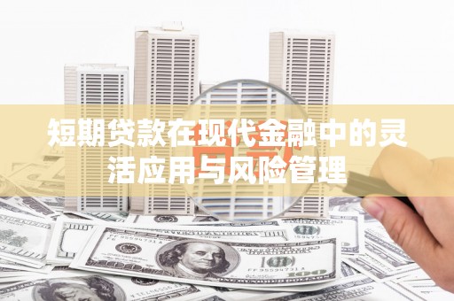 赞皇短期贷款在现代金融中的灵活应用与风险管理