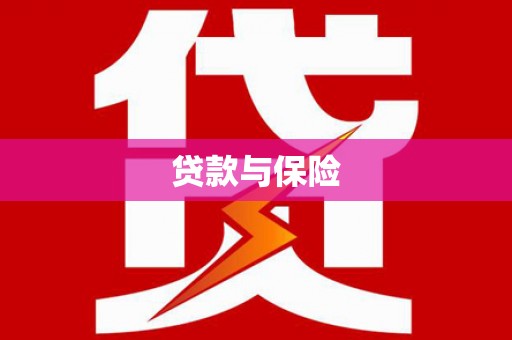 赞皇贷款与保险