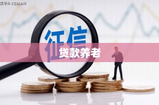赞皇贷款养老