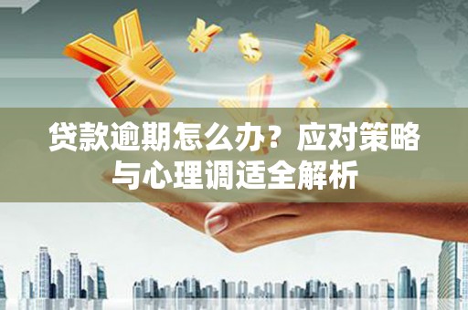 赞皇贷款逾期怎么办？应对策略与心理调适全解析