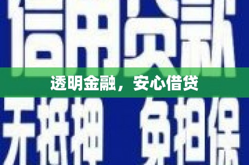 赞皇透明金融，安心借贷
