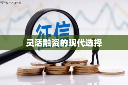 赞皇灵活融资的现代选择