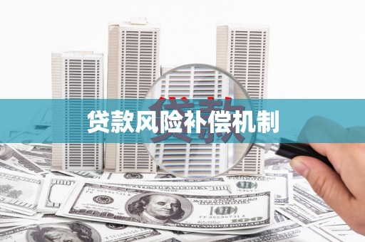 赞皇贷款风险补偿机制