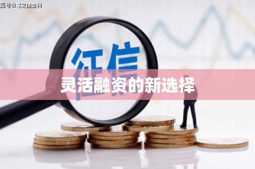 赞皇灵活融资的新选择