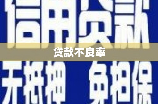 赞皇贷款不良率