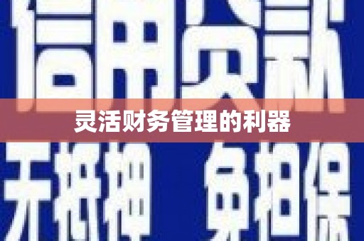 赞皇灵活财务管理的利器