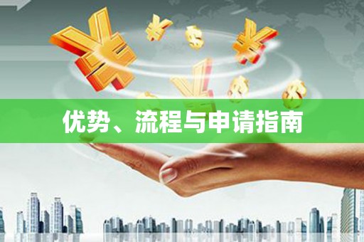 赞皇优势、流程与申请指南