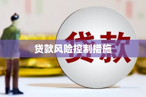 赞皇贷款风险控制措施