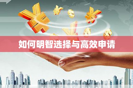 赞皇如何明智选择与高效申请