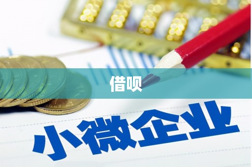 赞皇借呗