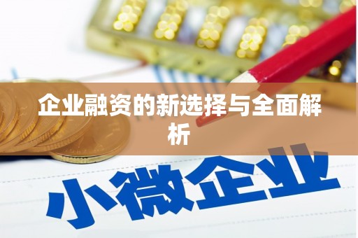 赞皇企业融资的新选择与全面解析