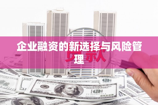 赞皇企业融资的新选择与风险管理